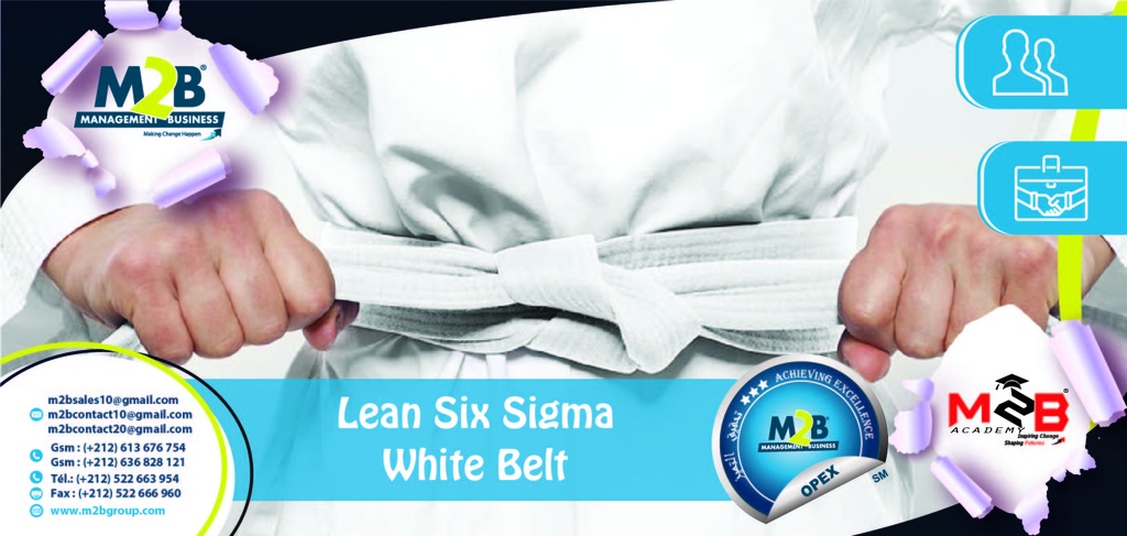 Lean Six Sigma White Belt